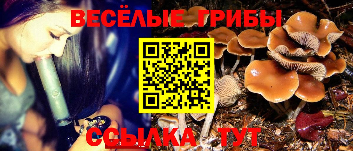 Псилоцибиновые грибы ЛСД Камышлов