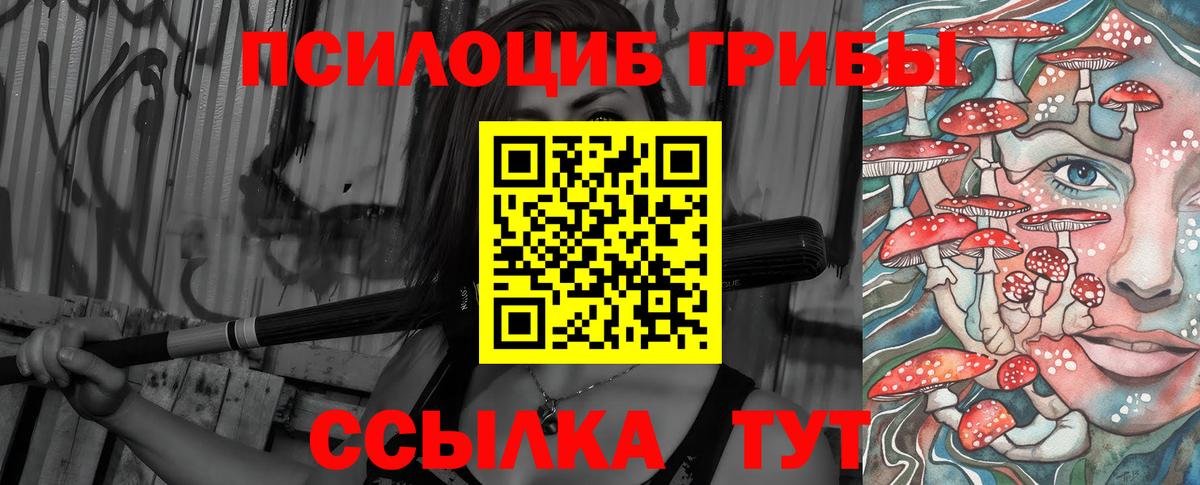 магазин продажи наркотиков  Вход с VPN  Камышлов  Псилоцибиновые грибы Psilocybe 
